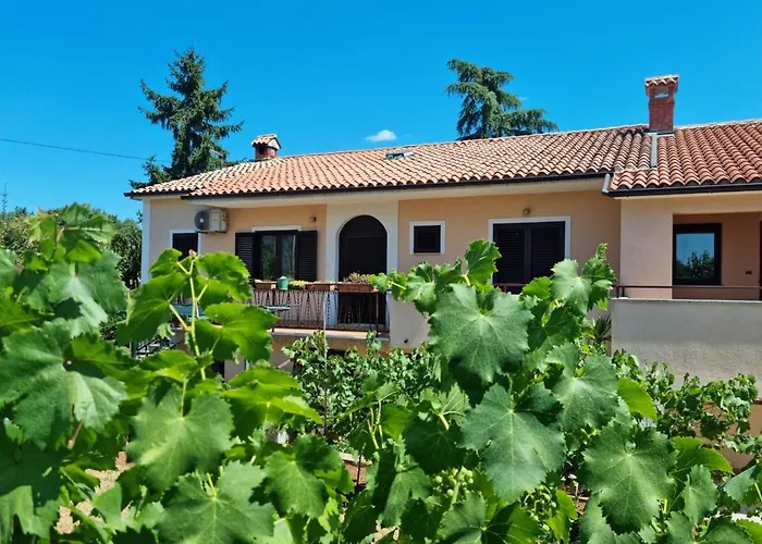 Markovic Lägenhet Vižinada